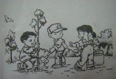 哪里能找到分卫的技术分析视频_1